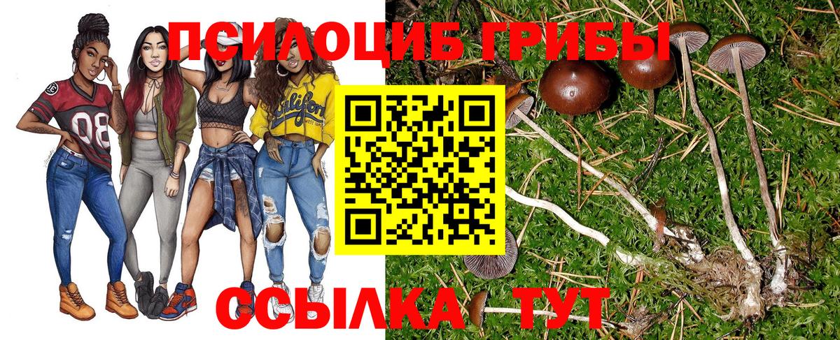 Псилоцибиновые грибы MAGIC MUSHROOMS Азов