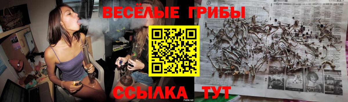 Галлюциногенные грибы мицелий  Вход с VPN  Псилоцибиновые грибы Psilocybe  Азов 